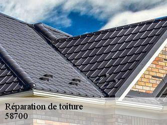 Réparation de toiture  58700