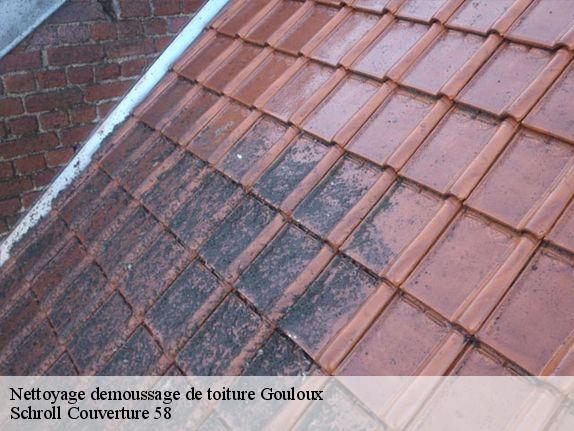 Nettoyage demoussage de toiture  gouloux-58230 Schroll Couverture 58