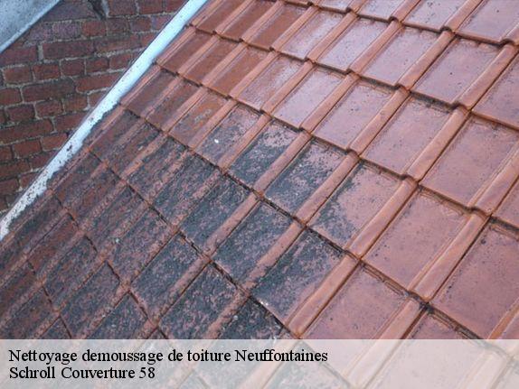 Nettoyage demoussage de toiture  neuffontaines-58190 Schroll Couverture 58