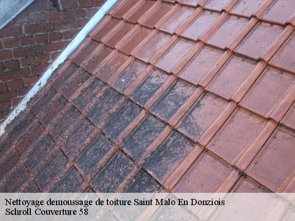 Nettoyage demoussage de toiture  saint-malo-en-donziois-58350 Schroll Couverture 58