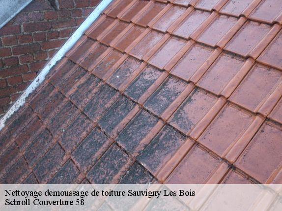 Nettoyage demoussage de toiture  sauvigny-les-bois-58160 Schroll Couverture 58