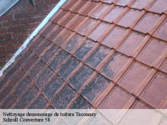 Nettoyage demoussage de toiture  taconnay-58420 Schroll Couverture 58