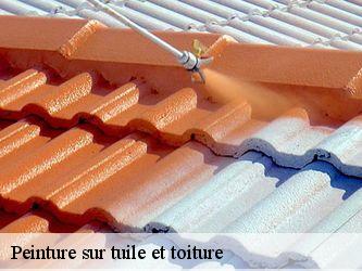 Peinture sur tuile et toiture  58500