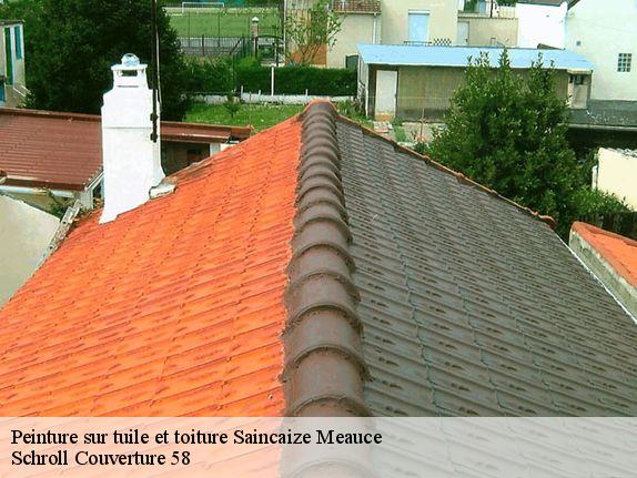 Peinture sur tuile et toiture  saincaize-meauce-58470 Schroll Couverture 58