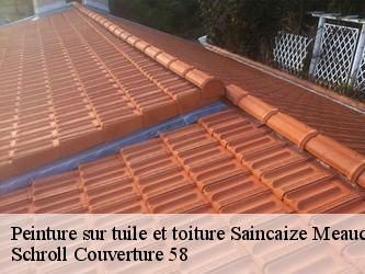 Peinture sur tuile et toiture  58470